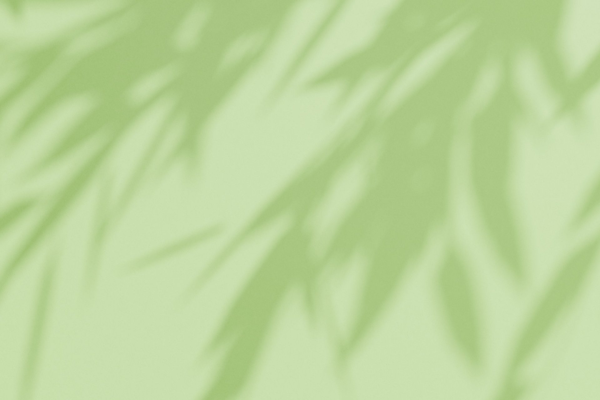 Soft green background with abstract shadows of tropical leaves