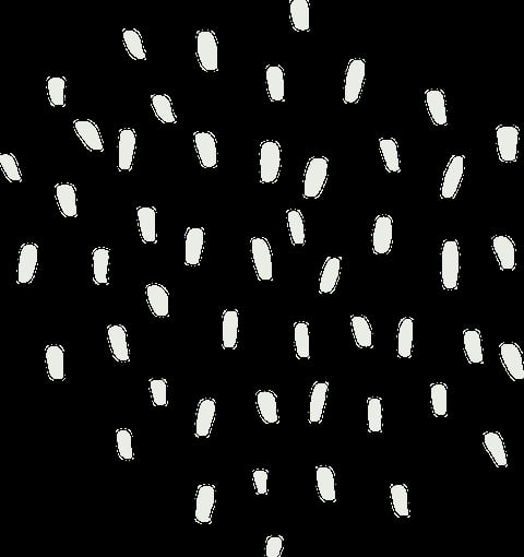 Multiple white rectangular shapes scattered randomly on a black background