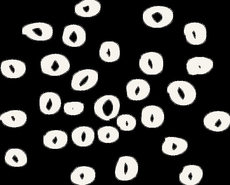 Collection of white oval seeds with black marks scattered on black background